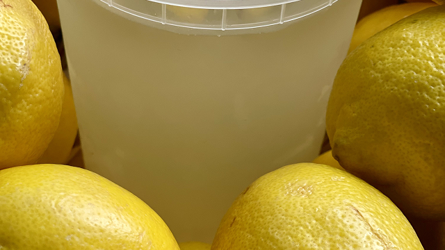 Choco Strawberry Euphoria photo